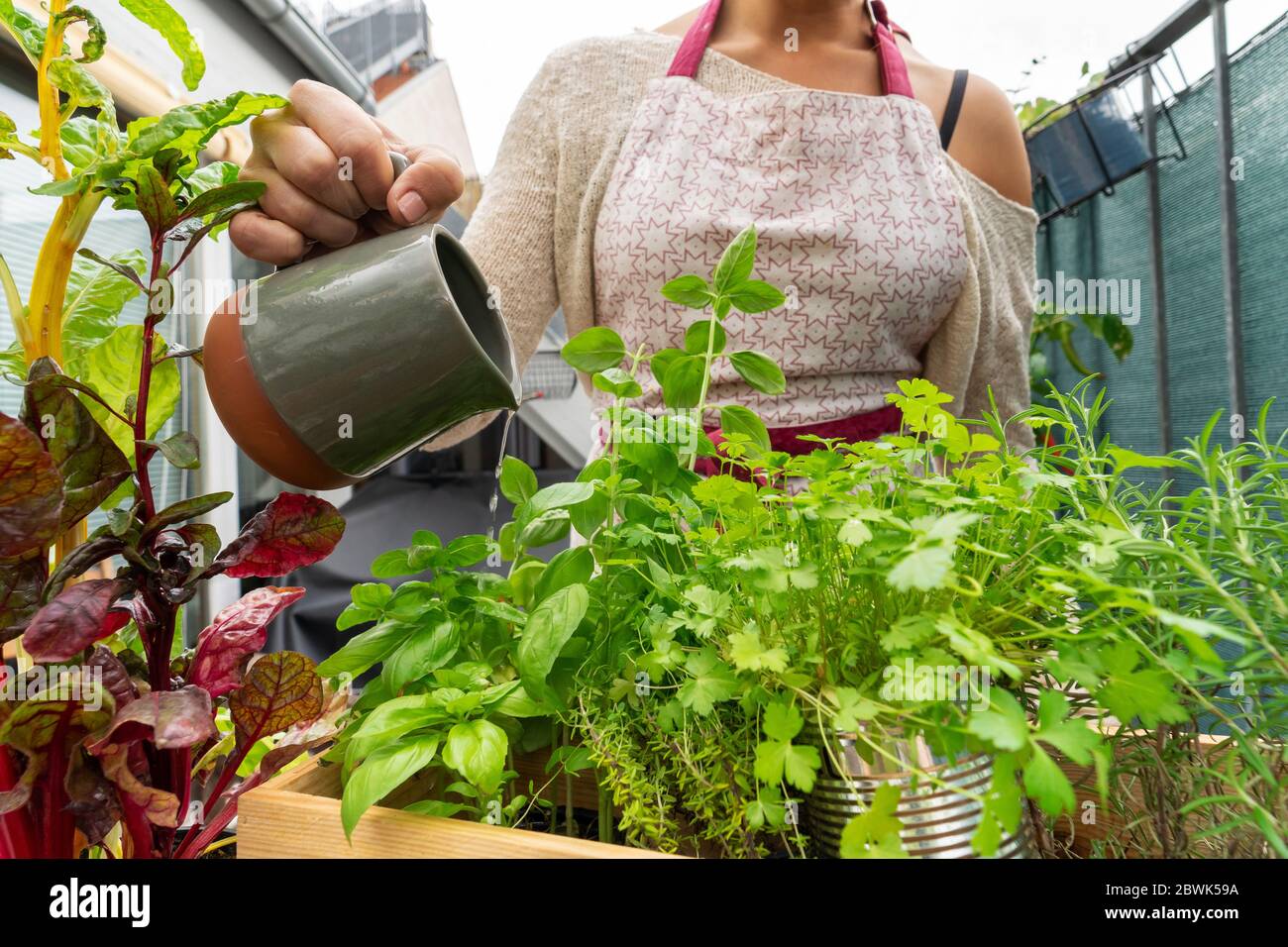 Kaukasische Frau Bewässerung der Pflanzen und Kräuter im Balkongarten Stockfoto