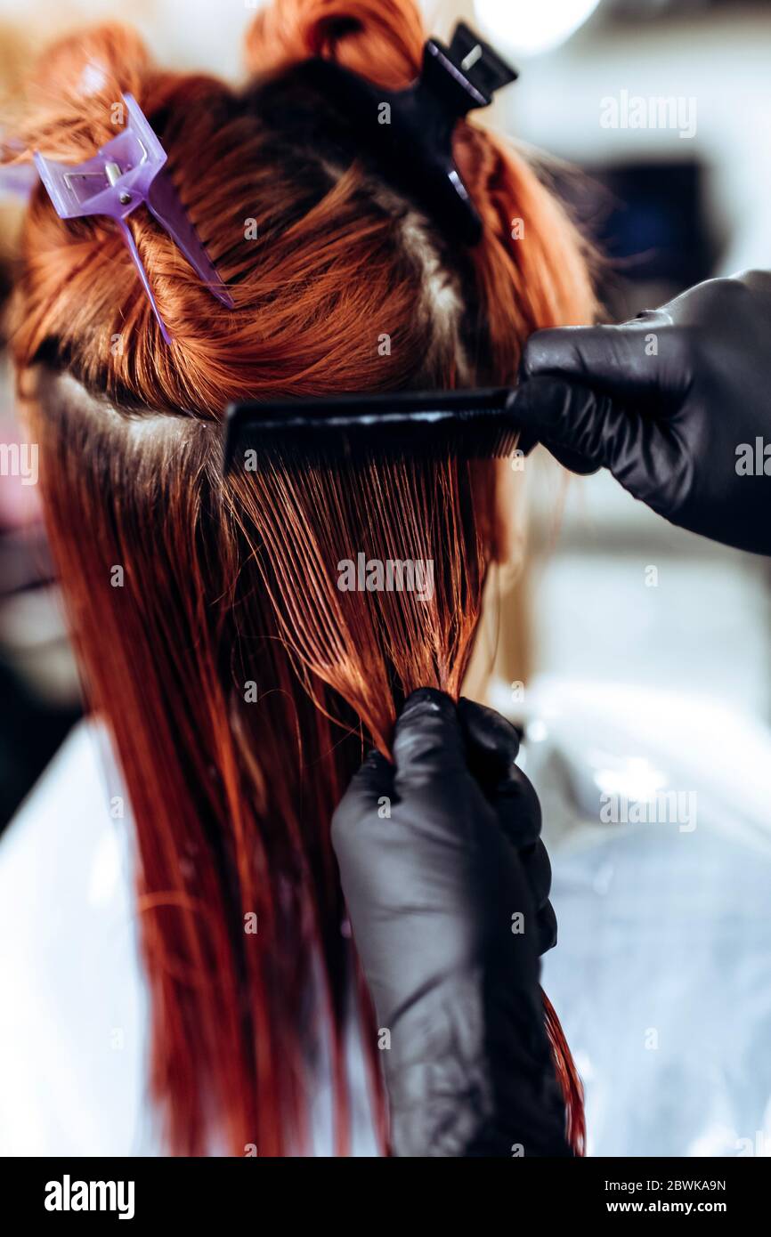 Der Friseur wendet nahrhafte und heilende Komponenten auf geschädigtes Haar, Anwendung Botox auf das Haar, kämmt jeden Strang Stockfoto