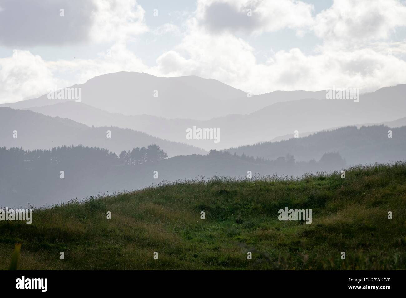 Neblige Hügel in der Nähe von Otaki, Horowhenua, Nordinsel, Neuseeland Stockfoto