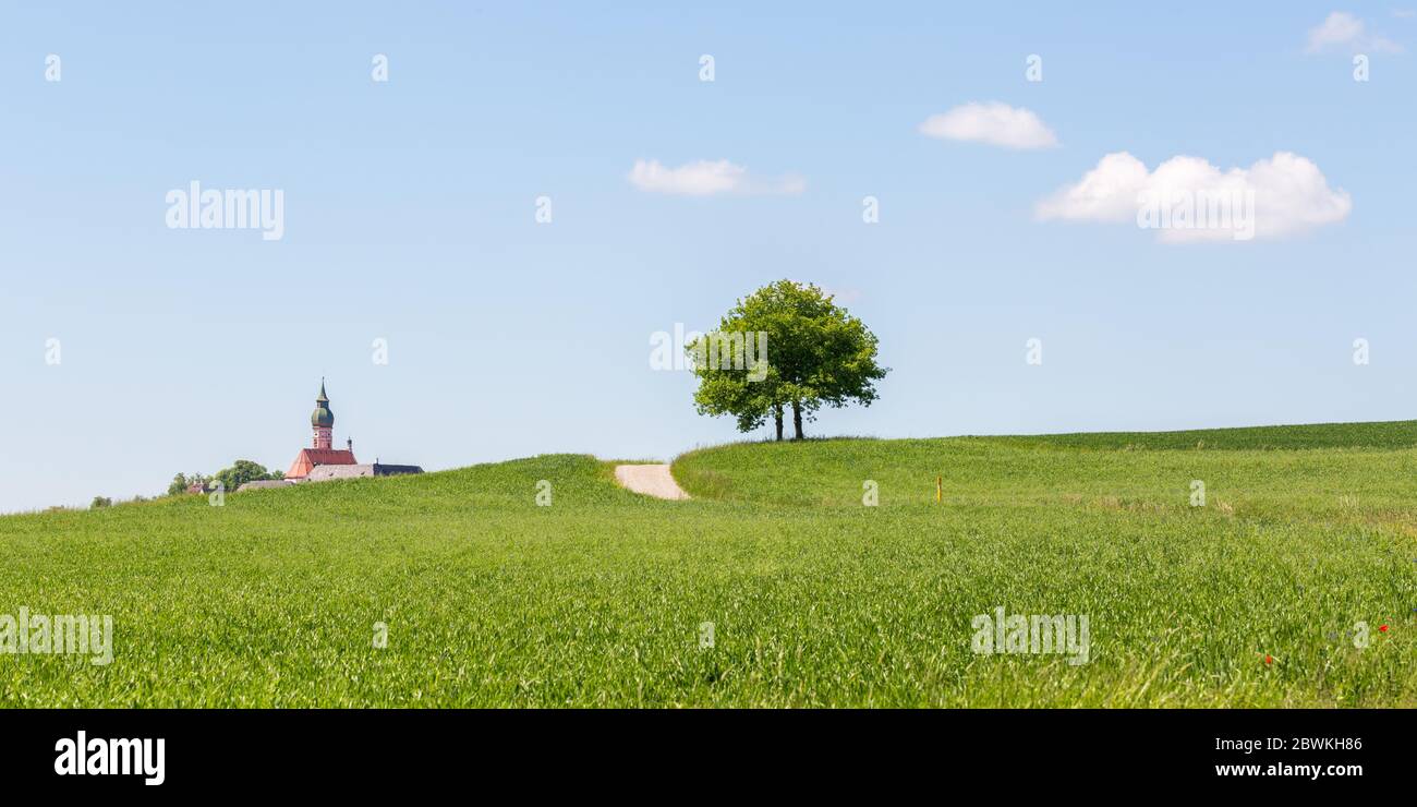 Einsamer Baum in einer üppigen, grünen Weide. Links der Gipfel des Klosters Andechs. Stockfoto