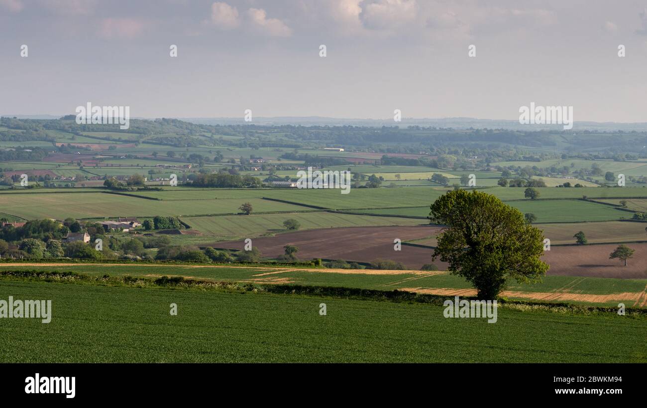 Dörfer und Bauernhöfe säumen die pastorale Landschaft des Chew Valley in North Somerset. Stockfoto