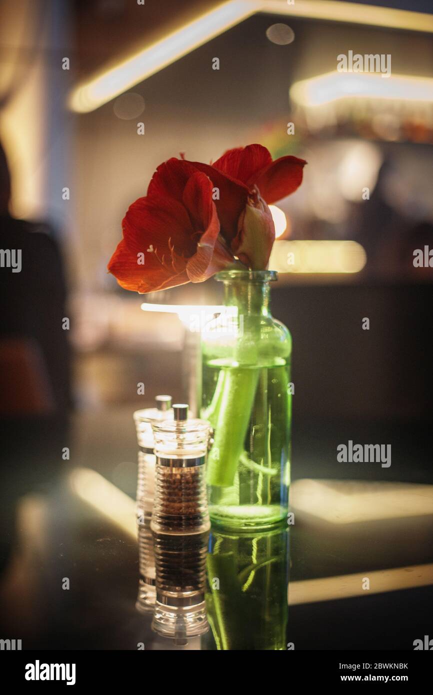 Hibiskus in einer transparenten Vase Stockfoto