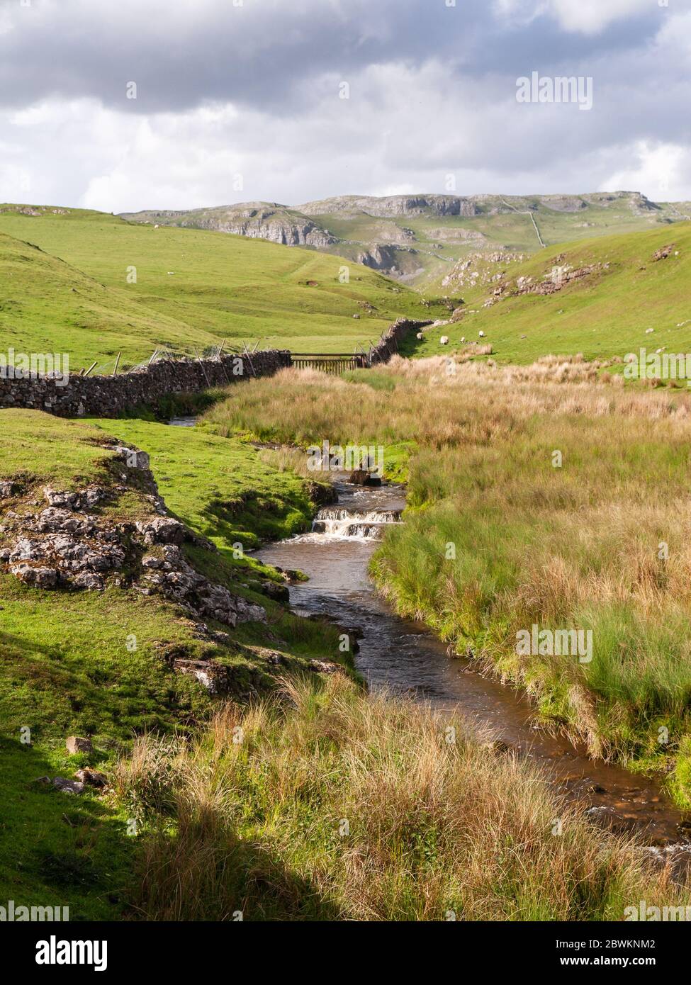 Ein kleiner Bach, der Scaleber Beck, stürzt über Wasserfälle auf den Mooren von Englands Yorkshire Dales, unter den Kalksteinklippen von Langcliffe S Stockfoto