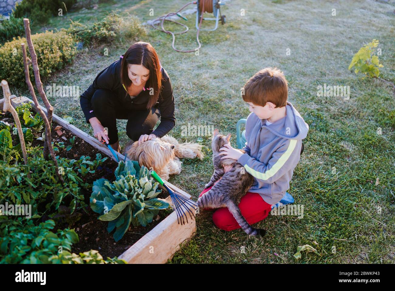Mutter, ihr Sohn und Haustiere im Garten Stockfoto