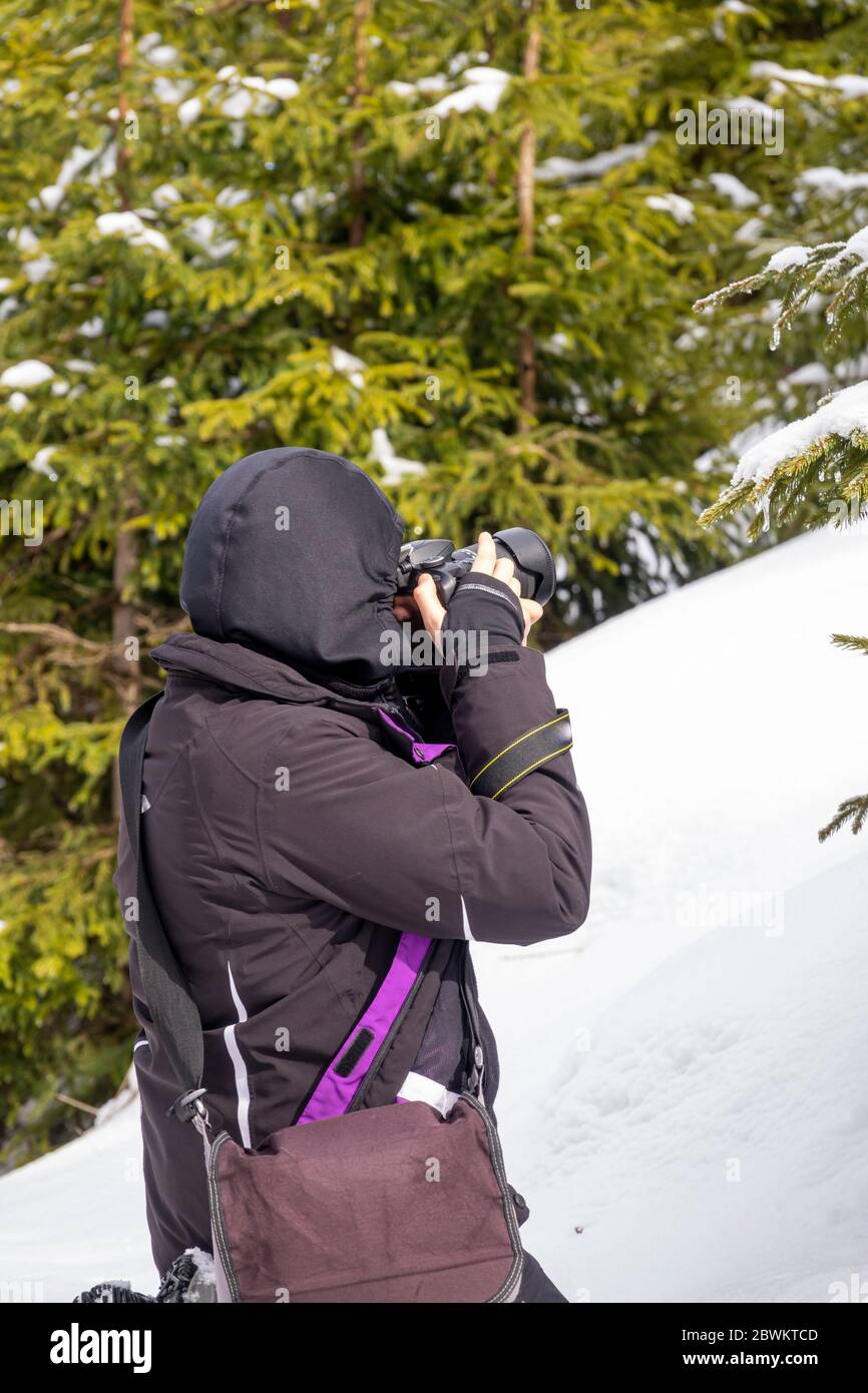 Fotografin auf der Suche nach dem besten Bild, das man machen kann Stockfoto