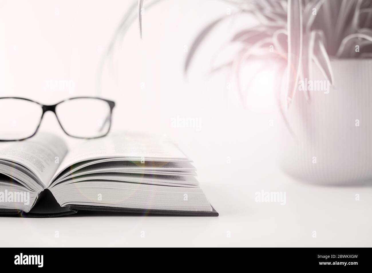 Offenes Buch, Gläser, heimisch Pflanze in Soft-Fokus mit einem Lichtreflexe auf weißem Hintergrund. Lernen von zu Hause. Selbstversorgung, Zeit weg von der Technologie, finden ruhigen Ort. Stockfoto Offenes Buch, Gläser, heimisch Pflanze in Soft-Fokus mit einem Lichtreflexe auf weißem Hintergrund. Lernen von zu Hause. Selbstversorgung, Zeit weg von der Technologie, finden ruhigen Ort. Stockfoto