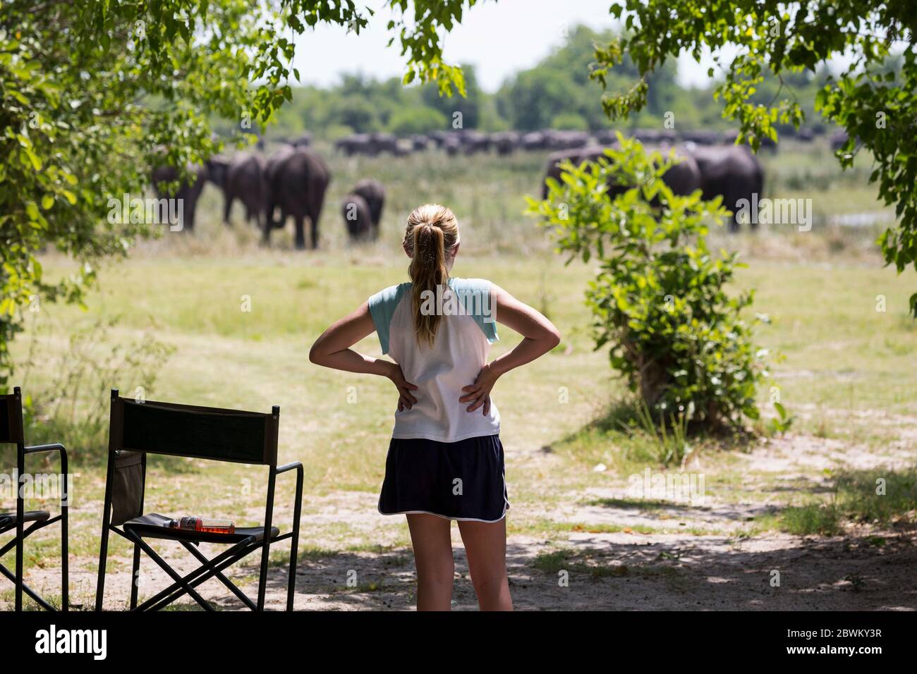 12-jähriges Mädchen, das Elefanten ansieht, Moremi Reserve, Botswana Stockfoto