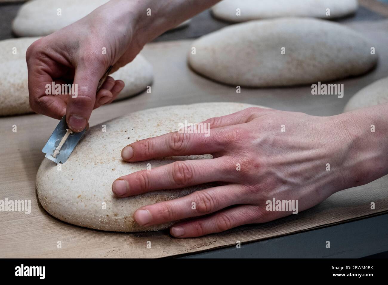 Handwerkliche Bäckerei Herstellung von speziellen Sauerteig Brot, ein Bäcker mit einer Klinge in den Teig zu schneiden. Stockfoto