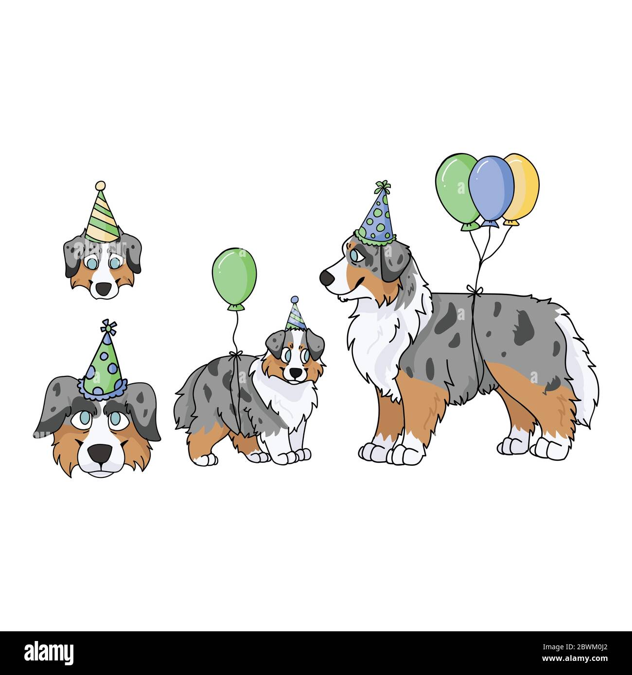 Nette Cartoon Australian Schaferhund Party Gesetzt Vektor Clipart Pedigree Zwinger Doggie Rasse Fur Hundeliebhaber Reinrassiger Inlandischer Fur Feier Stock Vektorgrafik Alamy