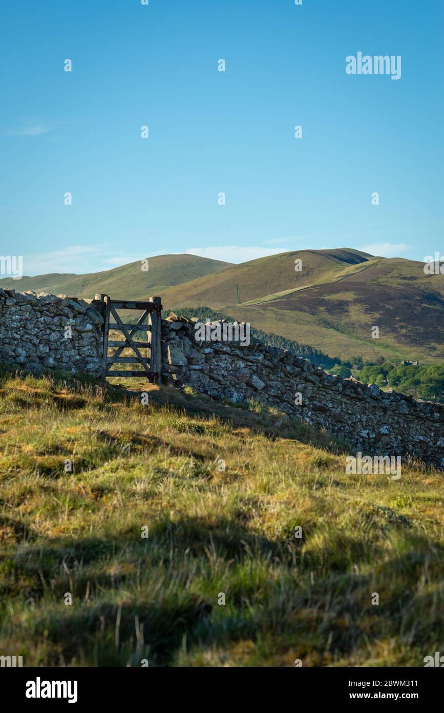 Ruhige Aussicht auf die Hügel und die Landschaft hinter einem Steinzaun und einem hölzernen Tor auf einem Wanderweg in Schottland Stockfoto