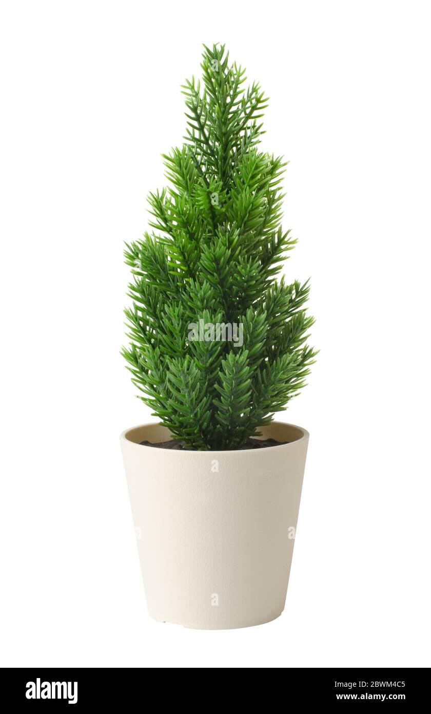 Gefälschte Weihnachtsbaum isoliert auf einem weißen Hintergrund Tannenbaum Stockfoto