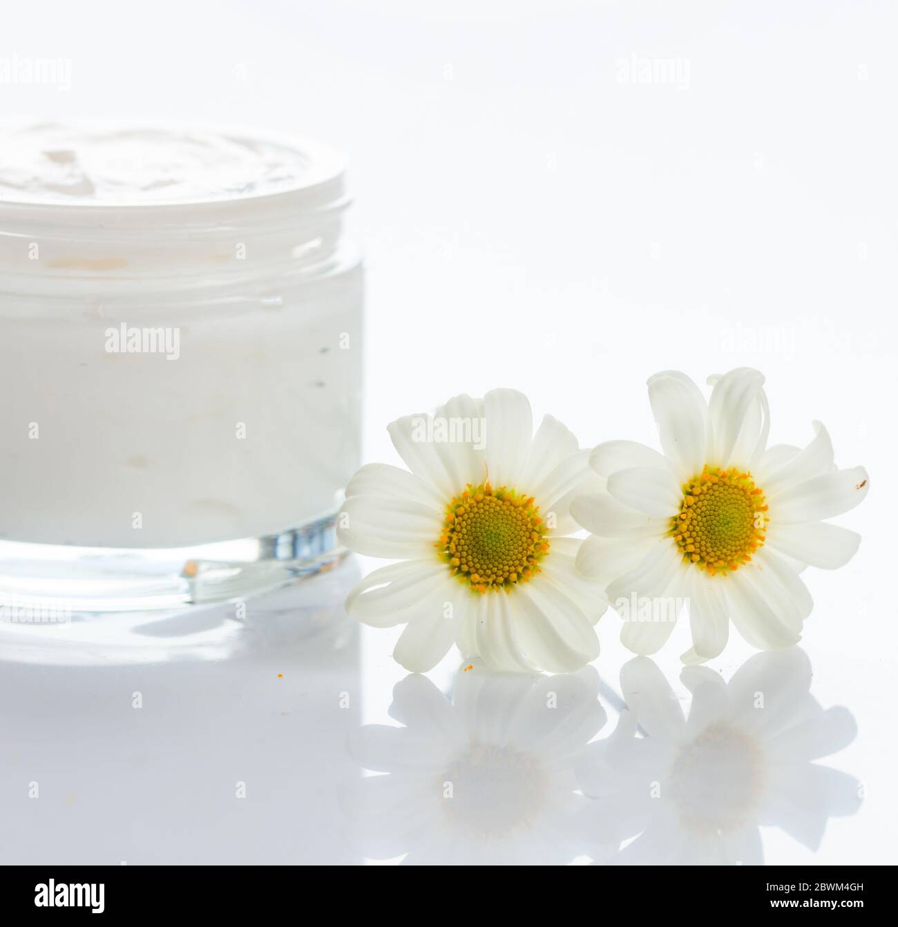Feuchtigkeitsspendende Creme und Kamille auf weißem Hintergrund. Offener Glasbehälter mit Kamille Kosmetik für Gesicht und Körper. Nahaufnahme. Stockfoto