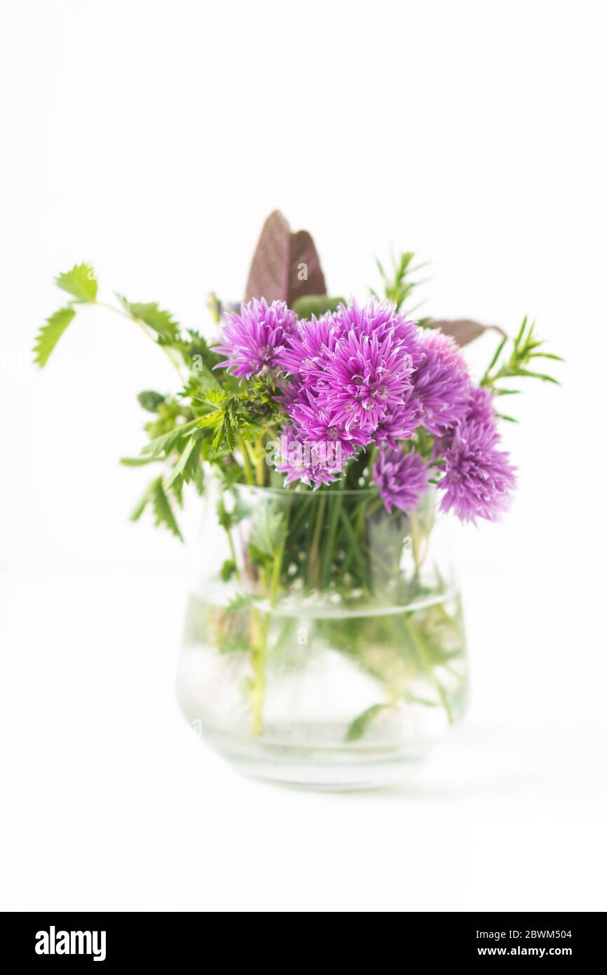 Kräuterfutter Konzept Schnittblüten und aromatische Kräuterpflanzen in Glas isoliert auf weißem Hintergrund Stockfoto
