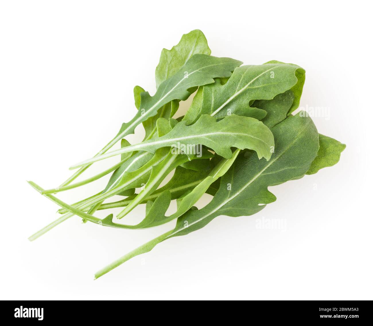Haufen frischen Rucola Blätter auf weißem Hintergrund Stockfoto