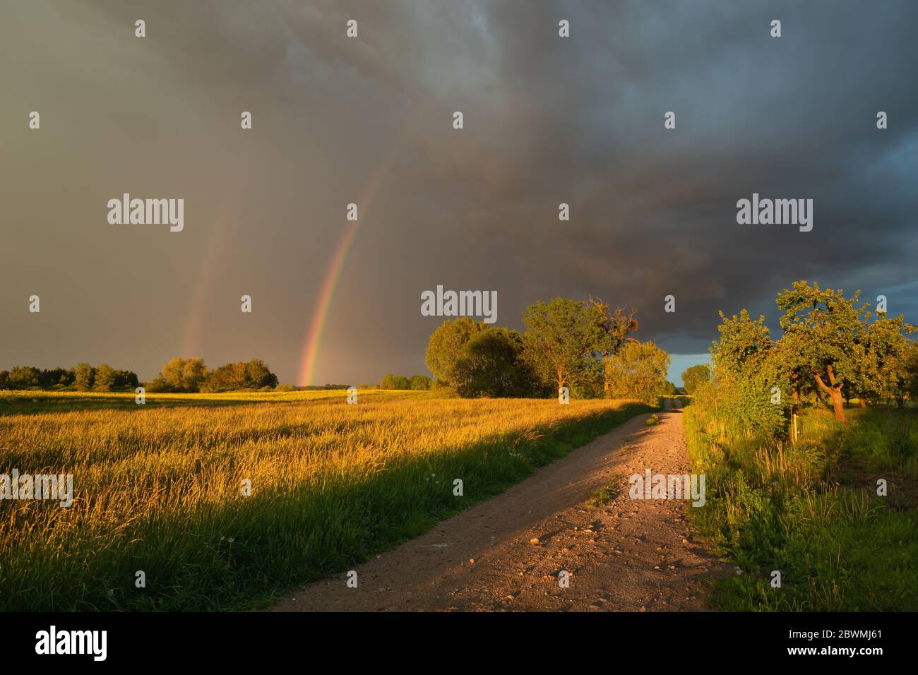 Ein Regenbogen im bewölkten Himmel, Bäume und ein Feldweg durch die Wiese, Frühlingsblick Stockfoto
