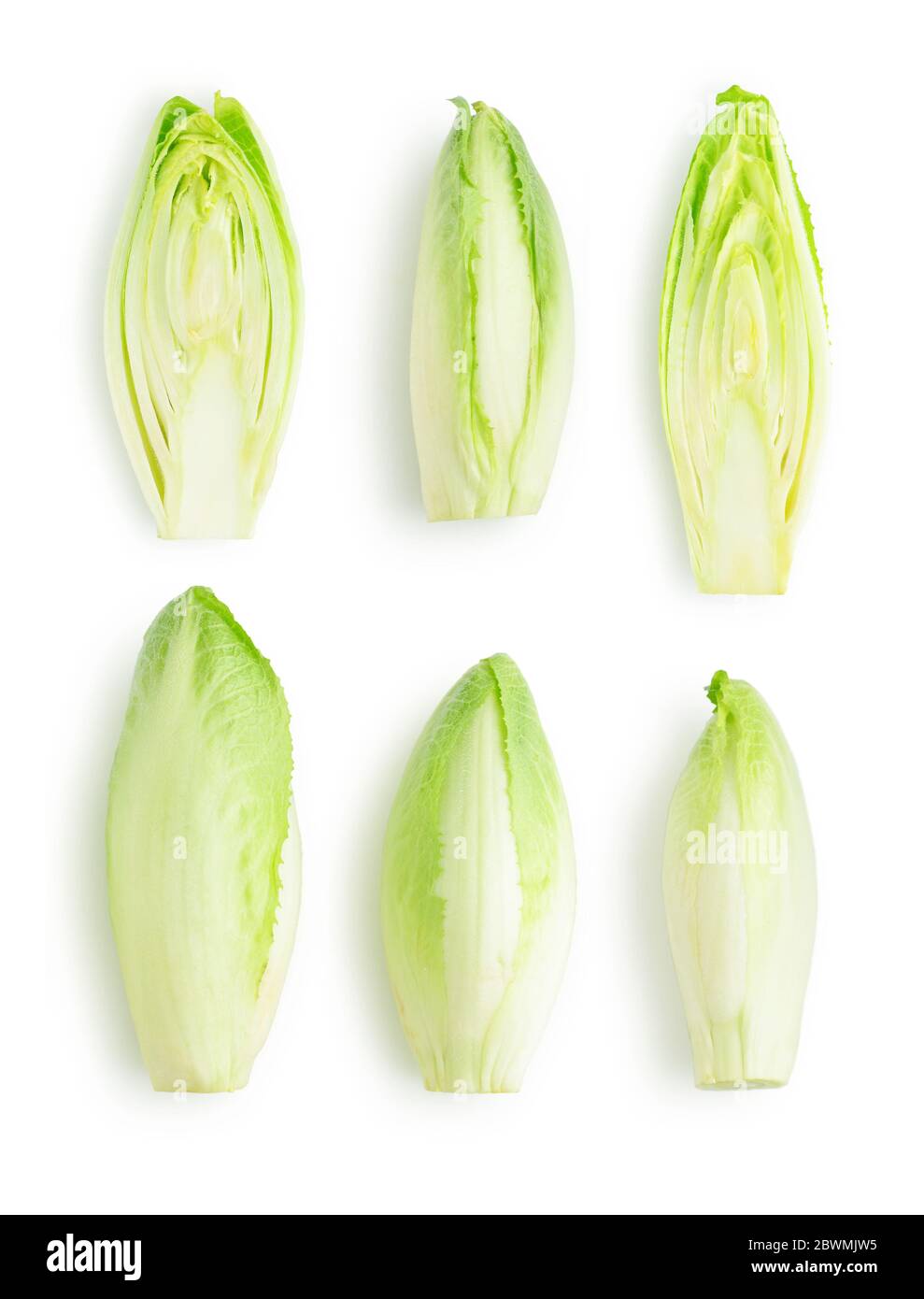 Frische Endive (Cichorium endivia) mit schönen weichen grünen Blättern isoliert auf weißem Hintergrund, Draufsicht Stockfoto