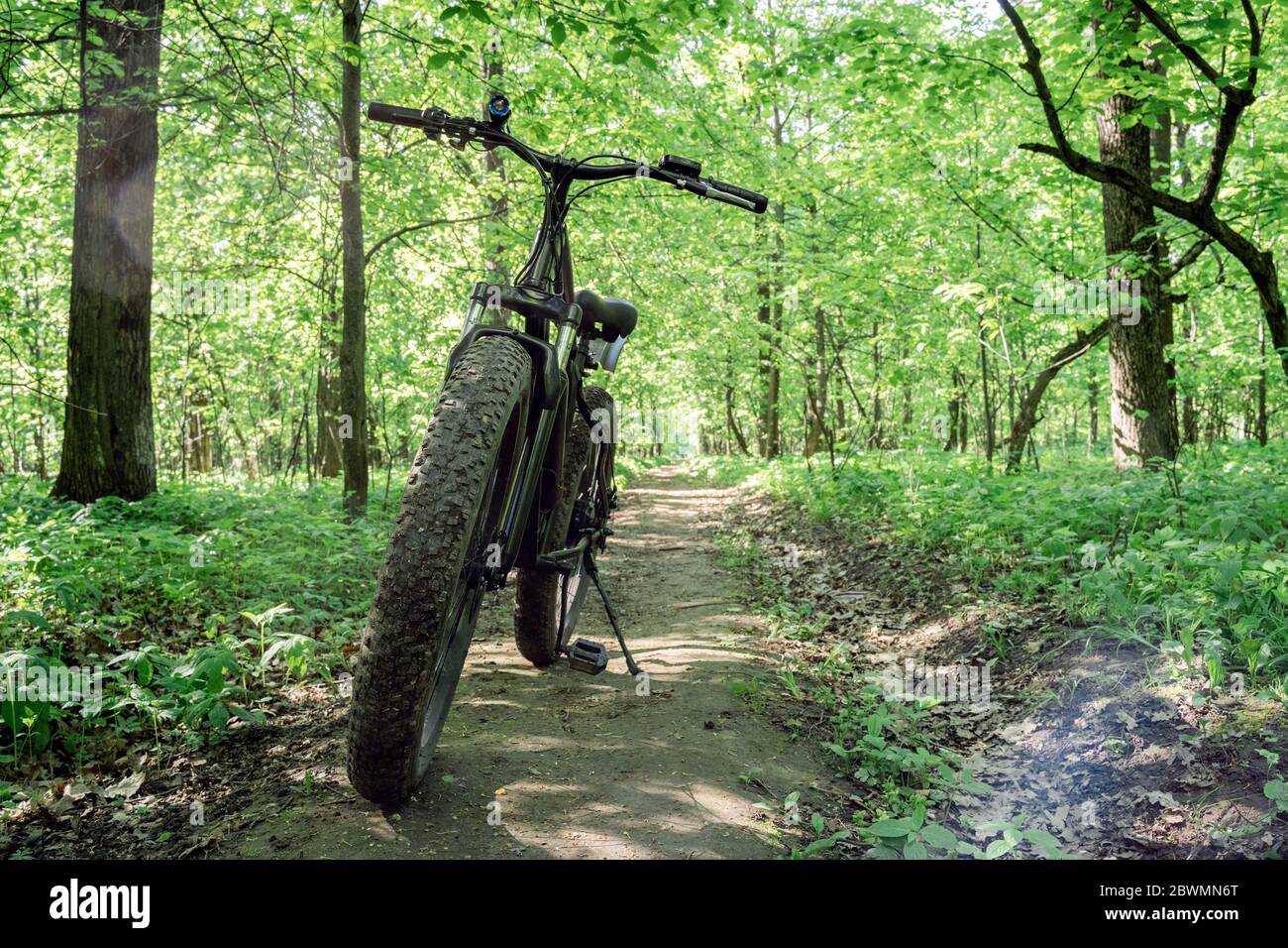 Fahrrad mit dicken Rädern auf einem Weg im Wald. Sport Hobby für Gesundheit und Reisen. Elektrofahrrad. Stockfoto