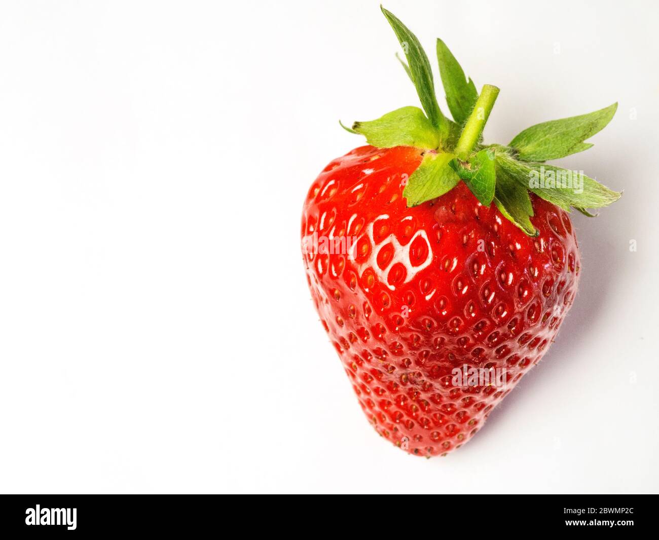 Eine einzelne Erdbeere auf weißem Hintergrund mit Kopierraum isoliert Stockfoto