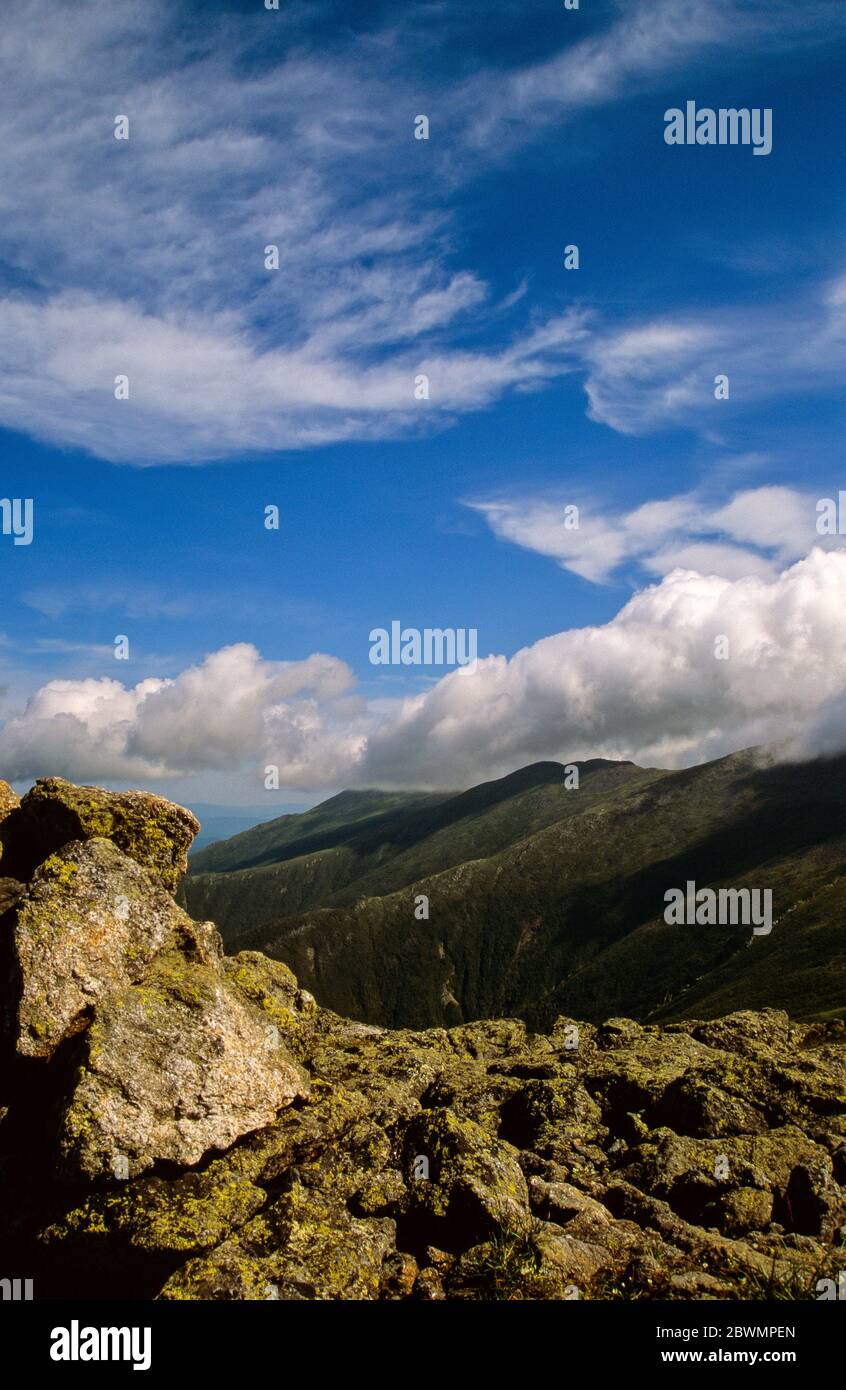 Wanderer, die an einem bewölkten Sommertag auf dem Appalachian Trail (Crawford Path) in Sargent's Purchase in den New Hampshire White Mountains in südlicher Richtung unterwegs sind. Stockfoto