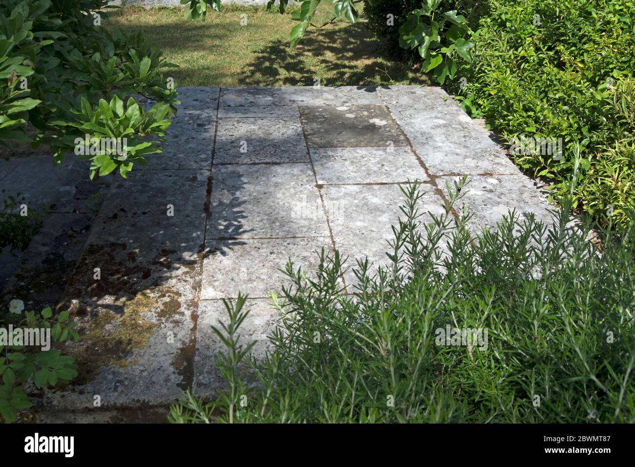 Das Grab des Redners des irischen parlaments aus dem 17. Jahrhundert, Sir john Tempel, in der Kirche St. mary the Virgin, mortlake, london, england Stockfoto