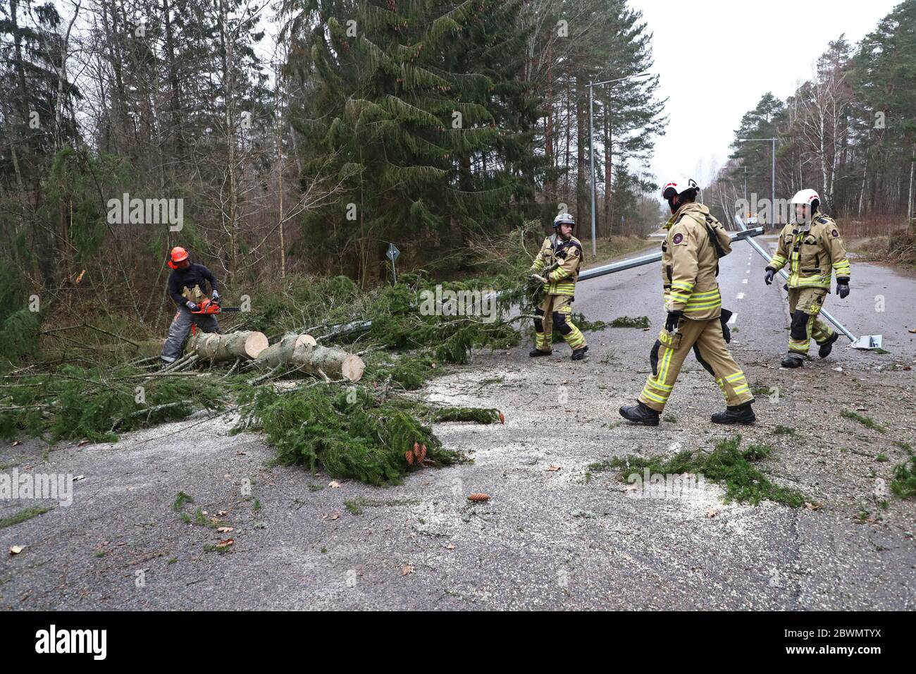 Borensberg, Schweden 20200402 Gefallene Bäume in Borensberg nach heftigen Winden im Sturm. Foto Jeppe Gustafsson Stockfoto