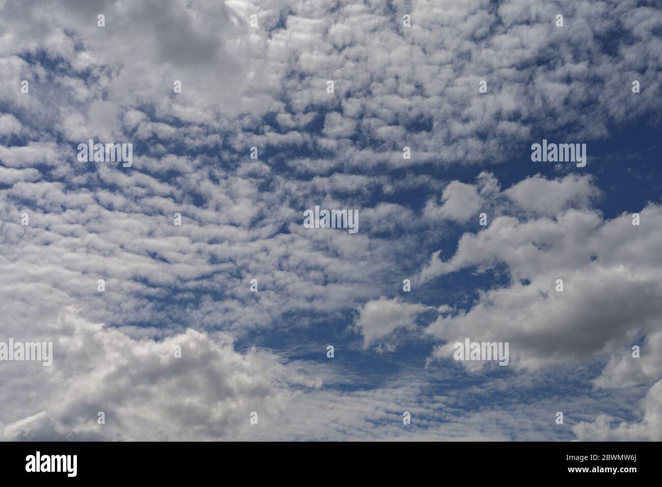Cirrus Wolken gegen den blauen Sommerhimmel. Stockfoto