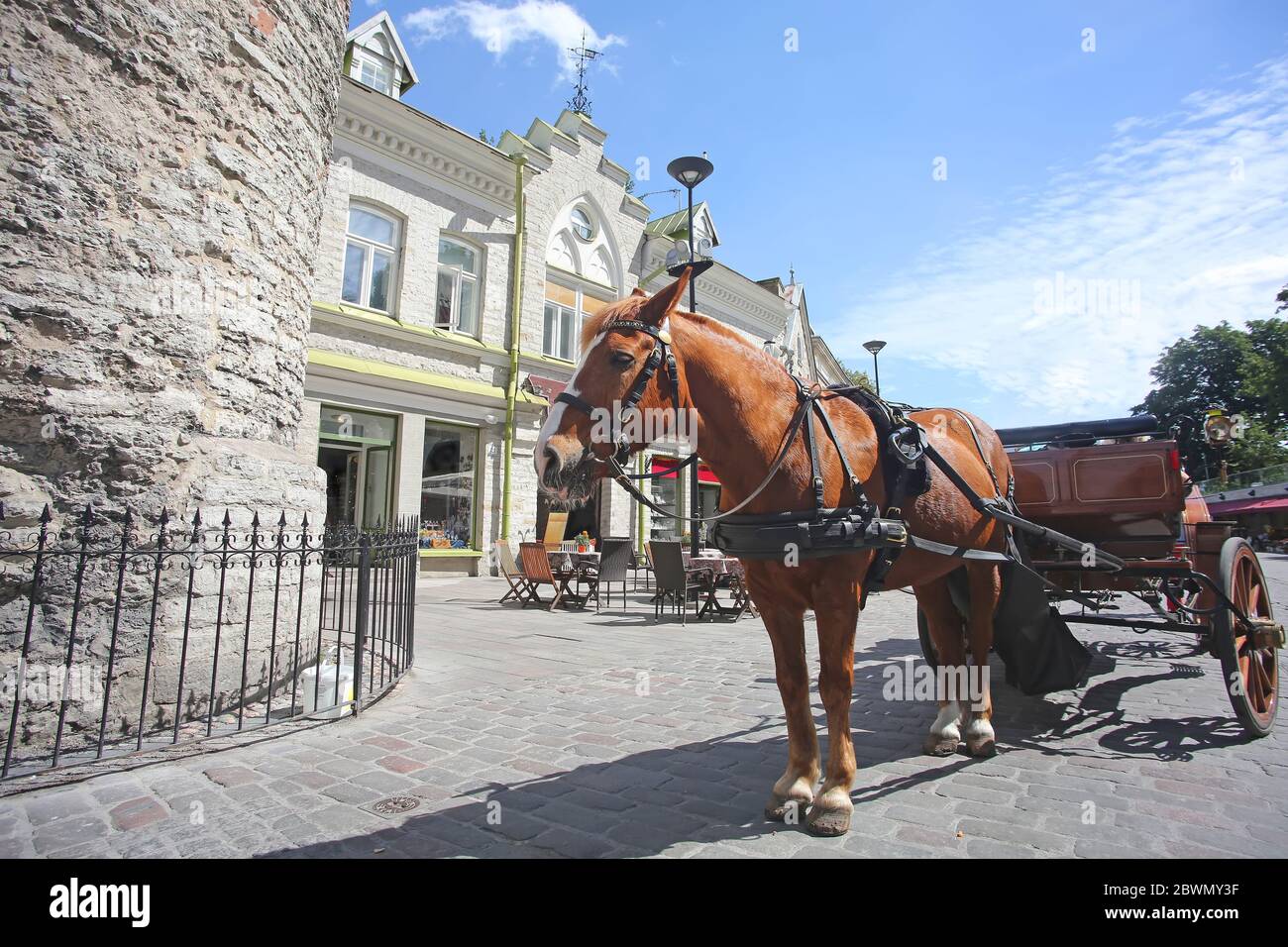 Pferd & Wagen neben den Stadttoren der Altstadt, in der historischen mittelalterlichen Innenstadt der Stadt, Tallinn, Estland. Stockfoto Pferd & Wagen neben den Stadttoren der Altstadt, in der historischen mittelalterlichen Innenstadt der Stadt, Tallinn, Estland. Stockfoto