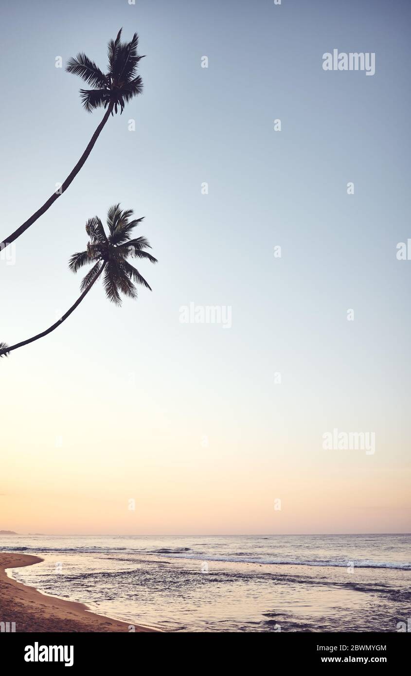 Tropischer Strand mit Kokospalmen bei Sonnenaufgang, Farbtonierung angewendet, Sri Lanka. Stockfoto