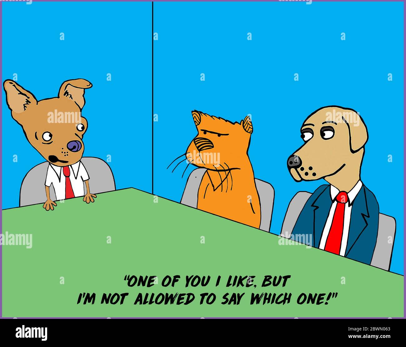 Farb-Cartoon von zwei Hunden und einer Katze an einem Arbeitstisch, wo ein Hund sagt, er mag einen von ihnen, darf aber nicht sagen, welchen. Stockfoto