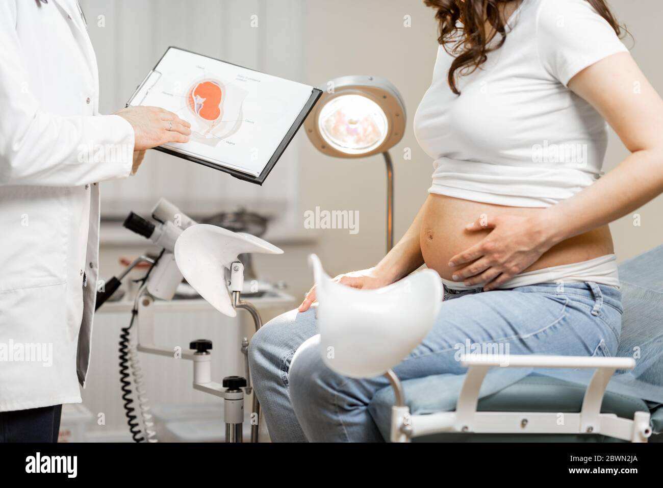 Arzt mit schwangeren Frau während einer medizinischen Beratung in gynäkologischen Büro, zeigt einige medizinische Systeme für das Verständnis, beschnittene Ansicht ohne Gesichter Stockfoto