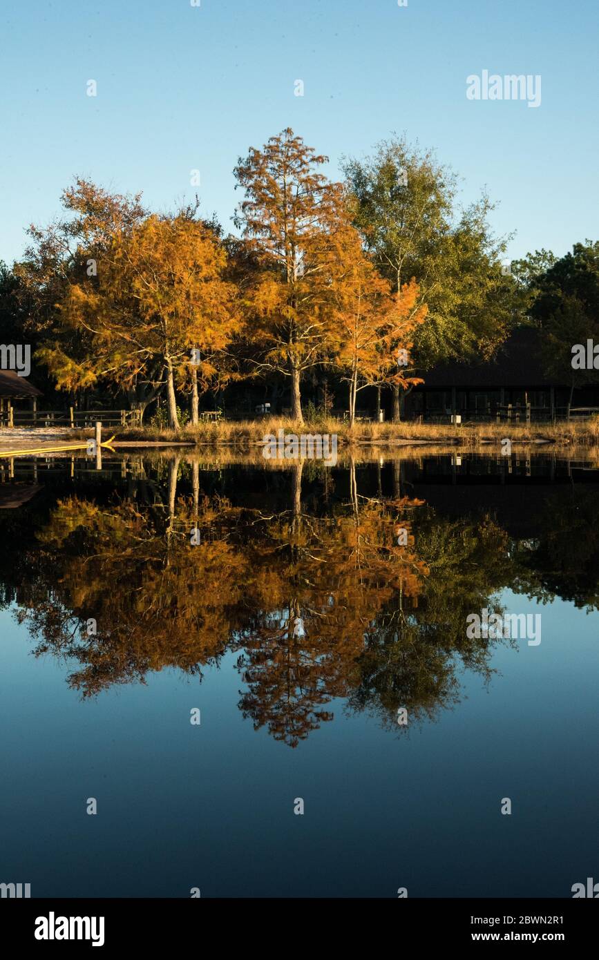 Spiegelung von Bäumen im See in Herbstfarben, North Carolina, USA Stockfoto