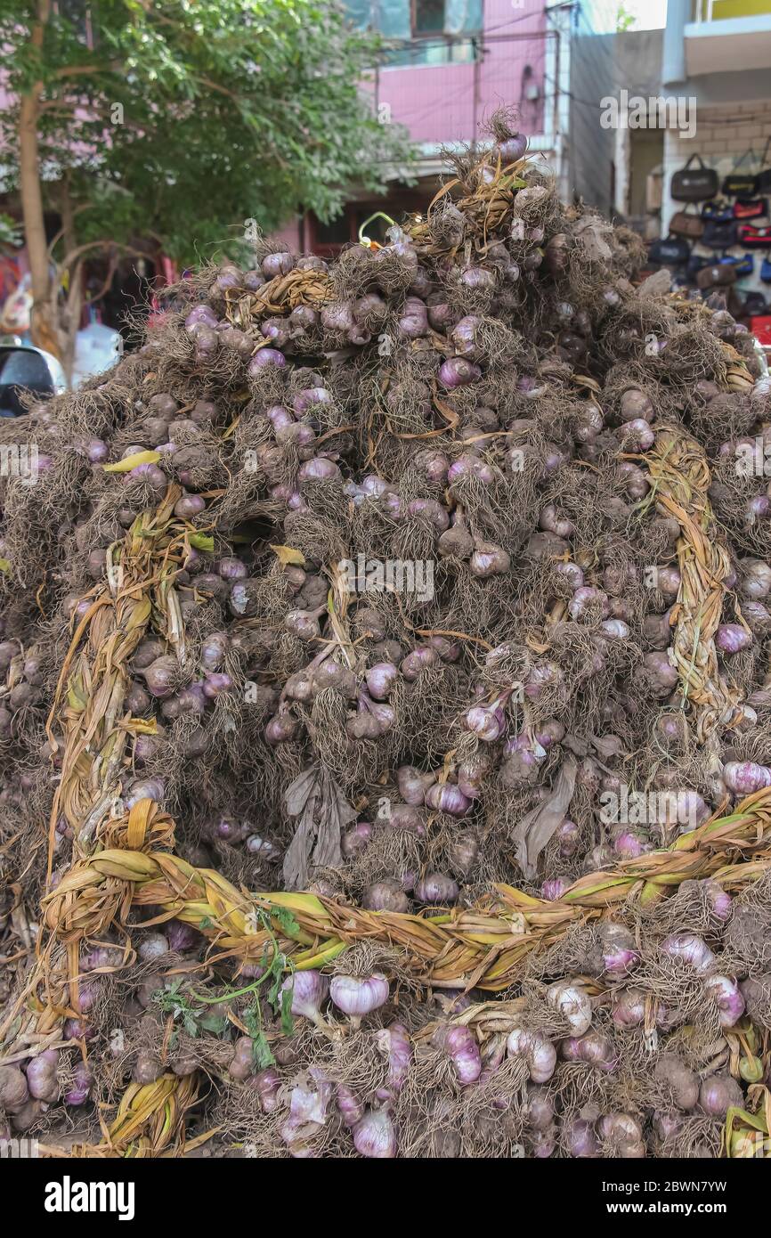 Ein Berg geernteter Knoblauch, der auf einem Straßenmarkt in Yining, Xinjiang, China verkauft wird Stockfoto