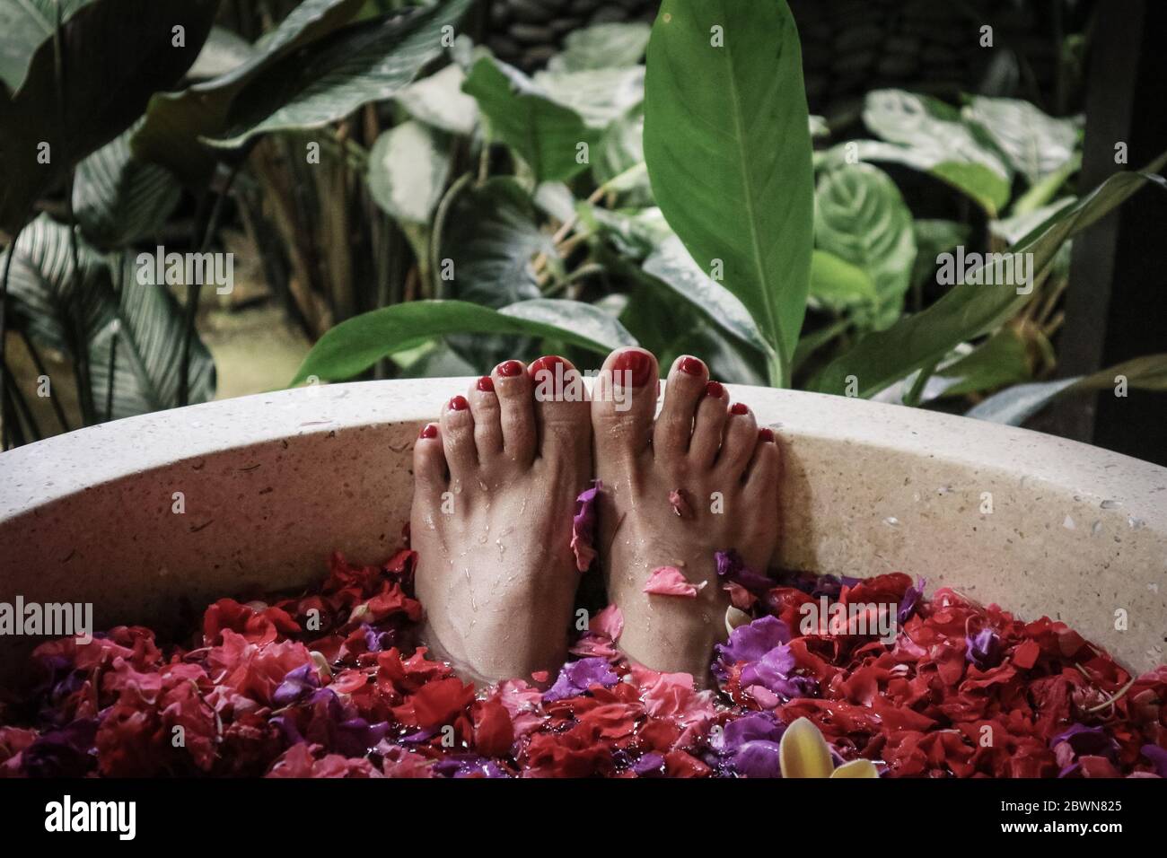 Badewanne mit Blütenblättern – traditioneller Bestandteil balinesischer Spa-Behandlungen Stockfoto