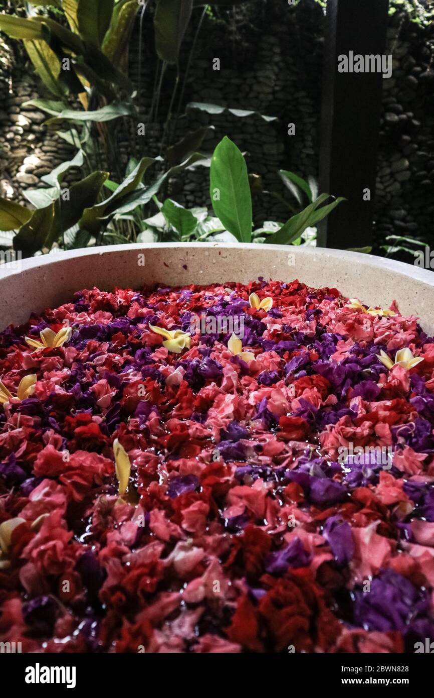Badewanne mit Blütenblättern – traditioneller Bestandteil balinesischer Spa-Behandlungen Stockfoto