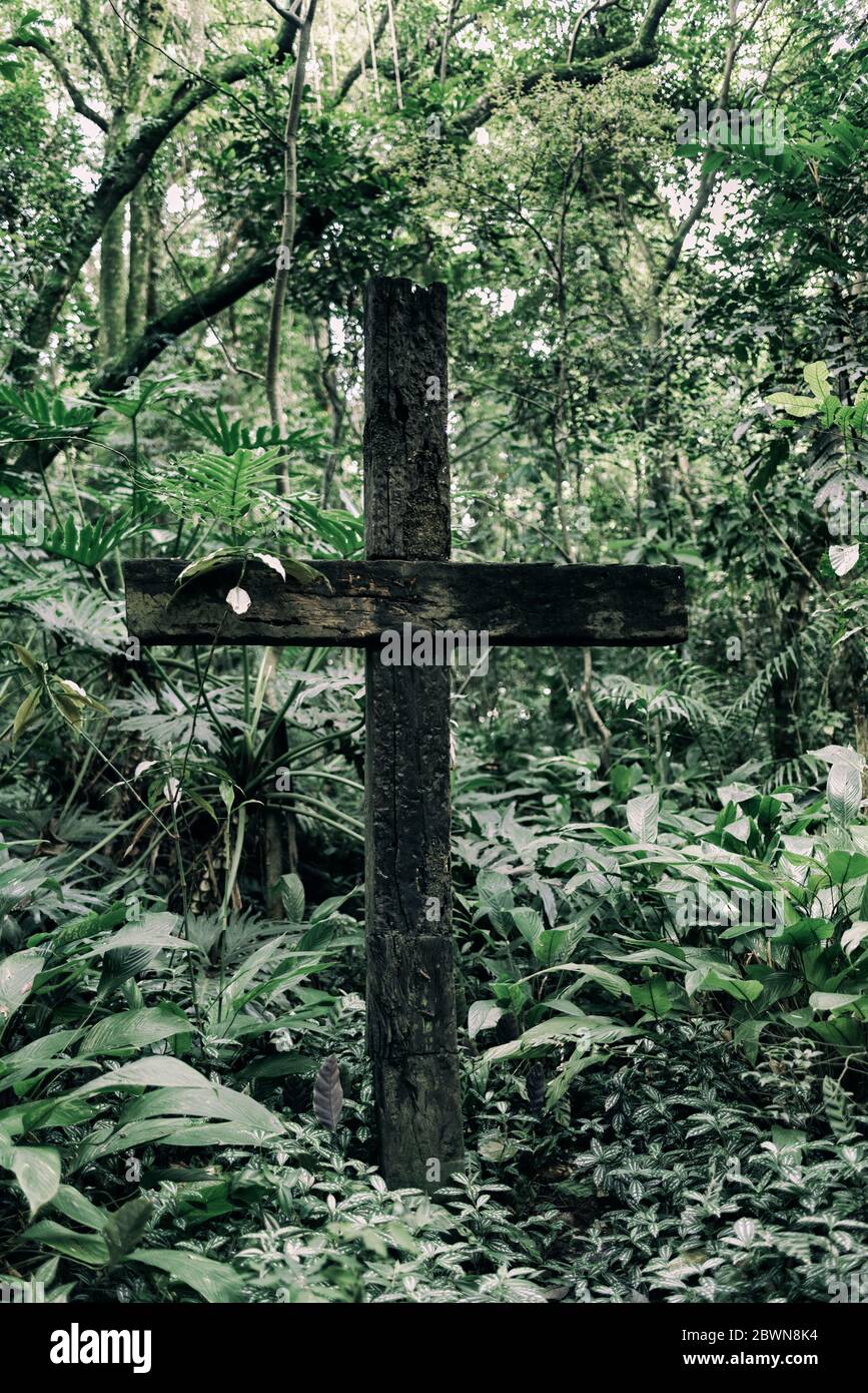 Einsames Holzkreuz im Wald Stockfoto