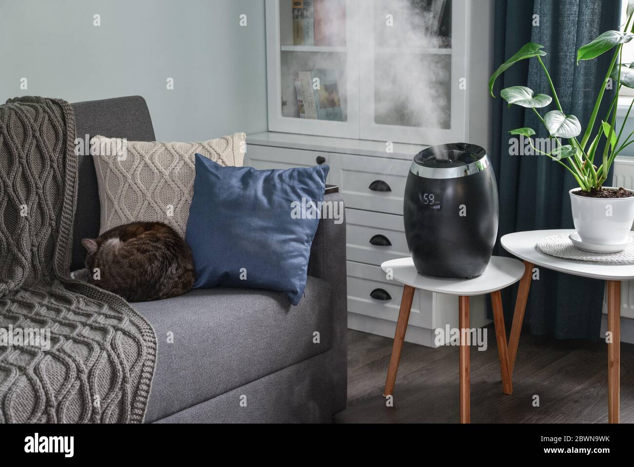 Ultraschall kühlen Nebel Luftbefeuchter für zu Hause auf einem kleinen Tisch im Wohnzimmer Nahaufnahme Stockfoto