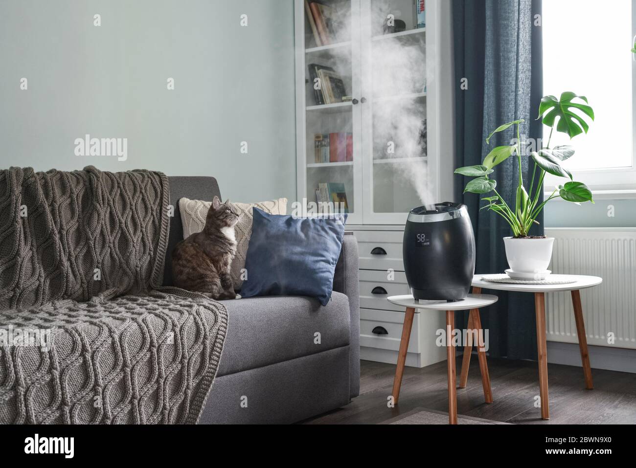 Ultraschall-Kaltnebel-Luftbefeuchter für zu Hause auf einem kleinen Tisch im Wohnzimmer Stockfoto