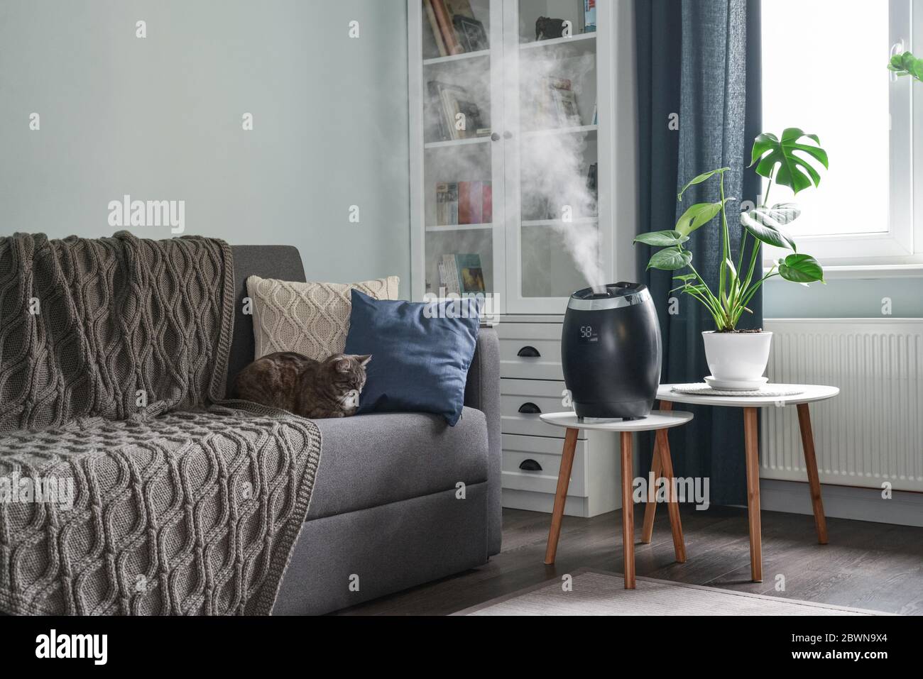 Ultraschall-Kaltnebel-Luftbefeuchter für zu Hause auf einem kleinen Tisch im Wohnzimmer Stockfoto