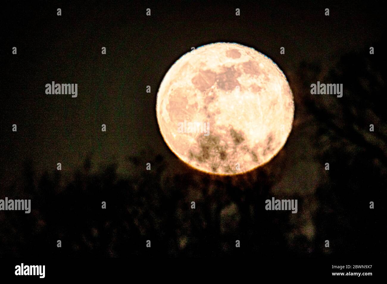 Voller rosa Super Moon steigt über Rocky Mountains, Salida, Colorado, USA Stockfoto