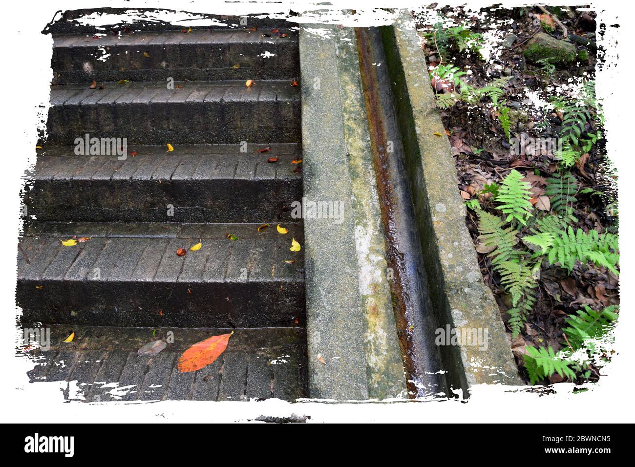Hong Kong Park auf Hong Kong Island Stockfoto