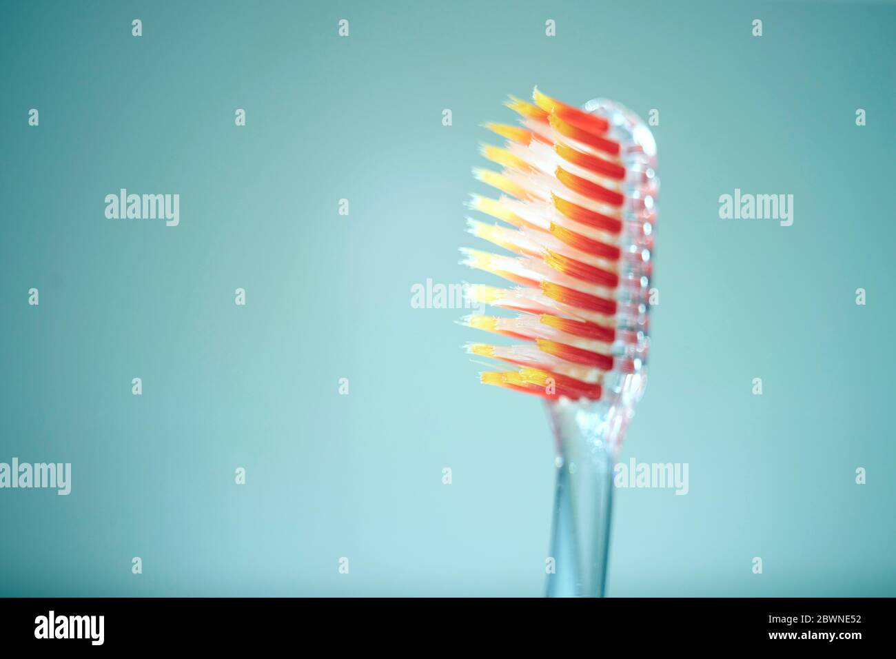 Transparente Zahnbürste aus Kunststoff mit orangefarbenen Borsten, Seitenansicht auf hellblauem Hintergrund. Stockfoto