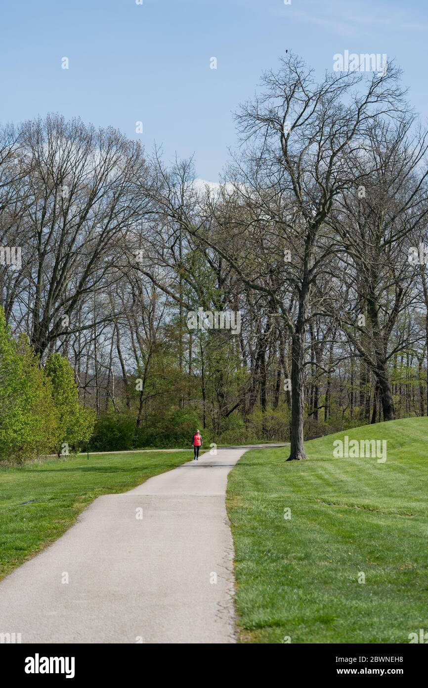 Einsamer Spaziergänger entlang eines Pfades im Park im Frühling Stockfoto