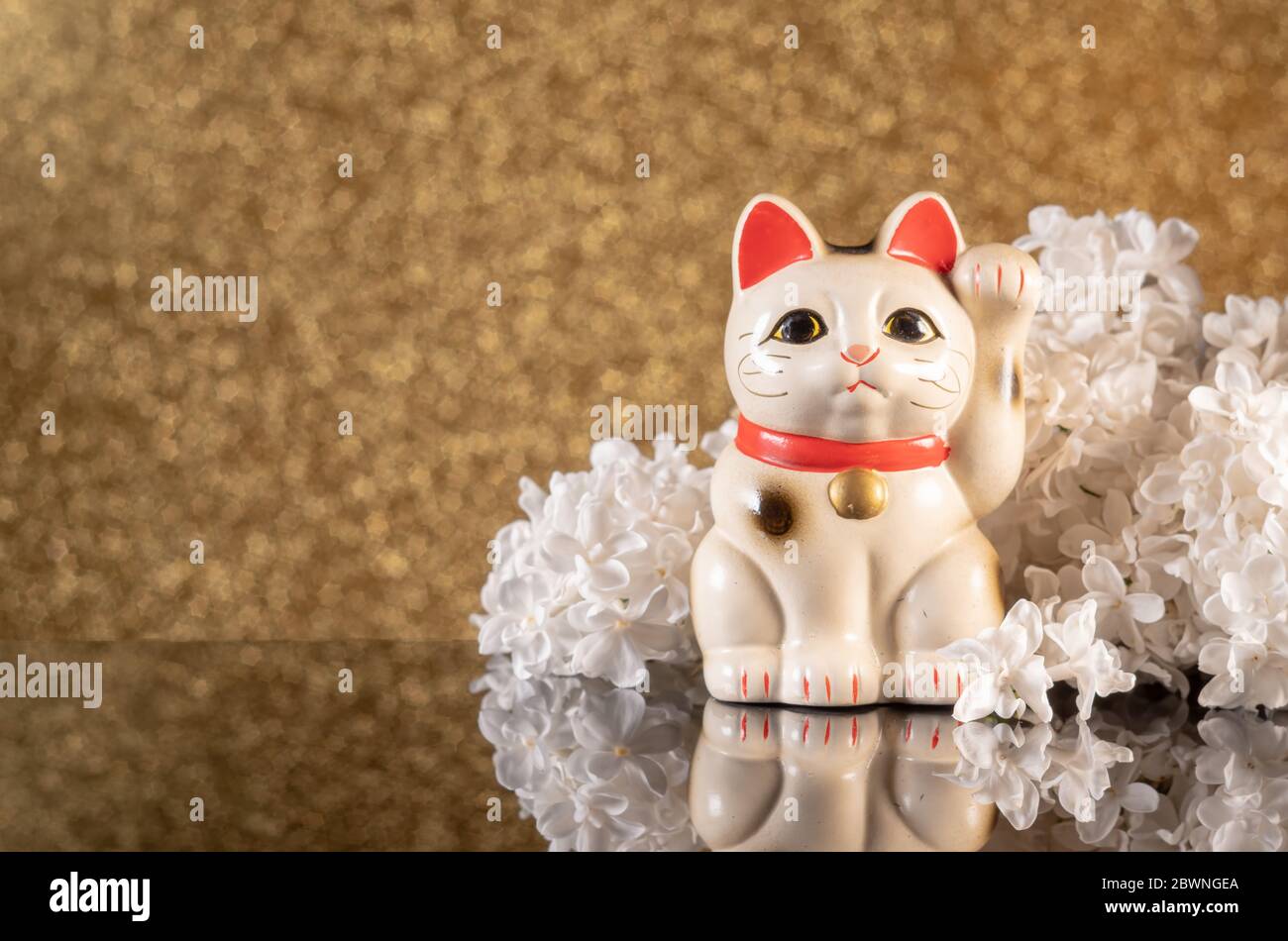 Japanisches Symbol für Glück maneki neko Katze von weißen lila Blüten auf einem goldenen Bokeh Hintergrund mit Reflexion gerahmt Stockfoto
