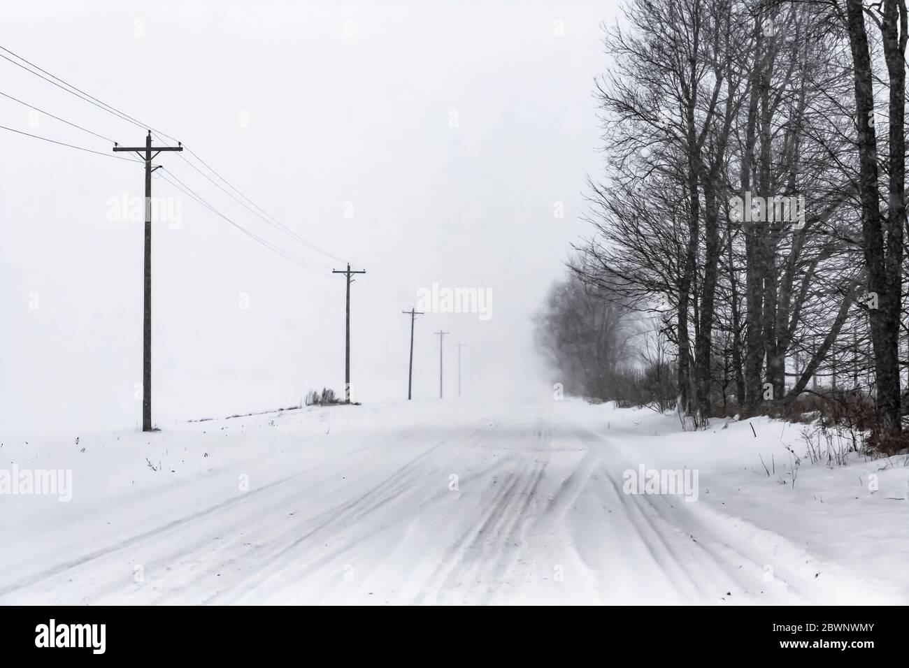 Versorgungsmasten entlang einer schneebedeckten Landstraße während eines Schneesturms im Dezember in Zentral-Michigan, USA Stockfoto