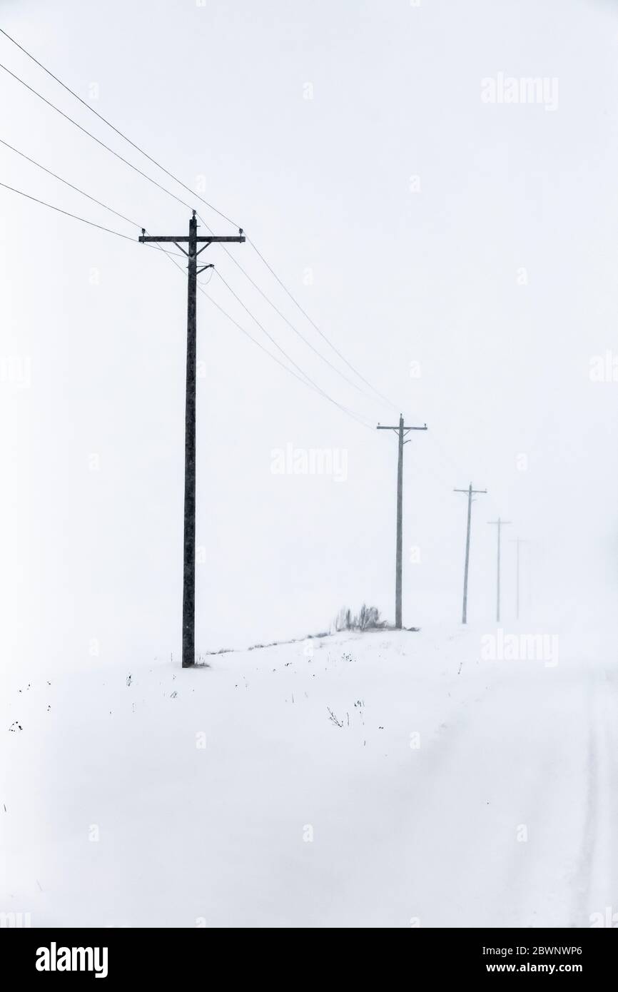 Versorgungsmasten entlang einer schneebedeckten Landstraße während eines Schneesturms im Dezember in Zentral-Michigan, USA Stockfoto