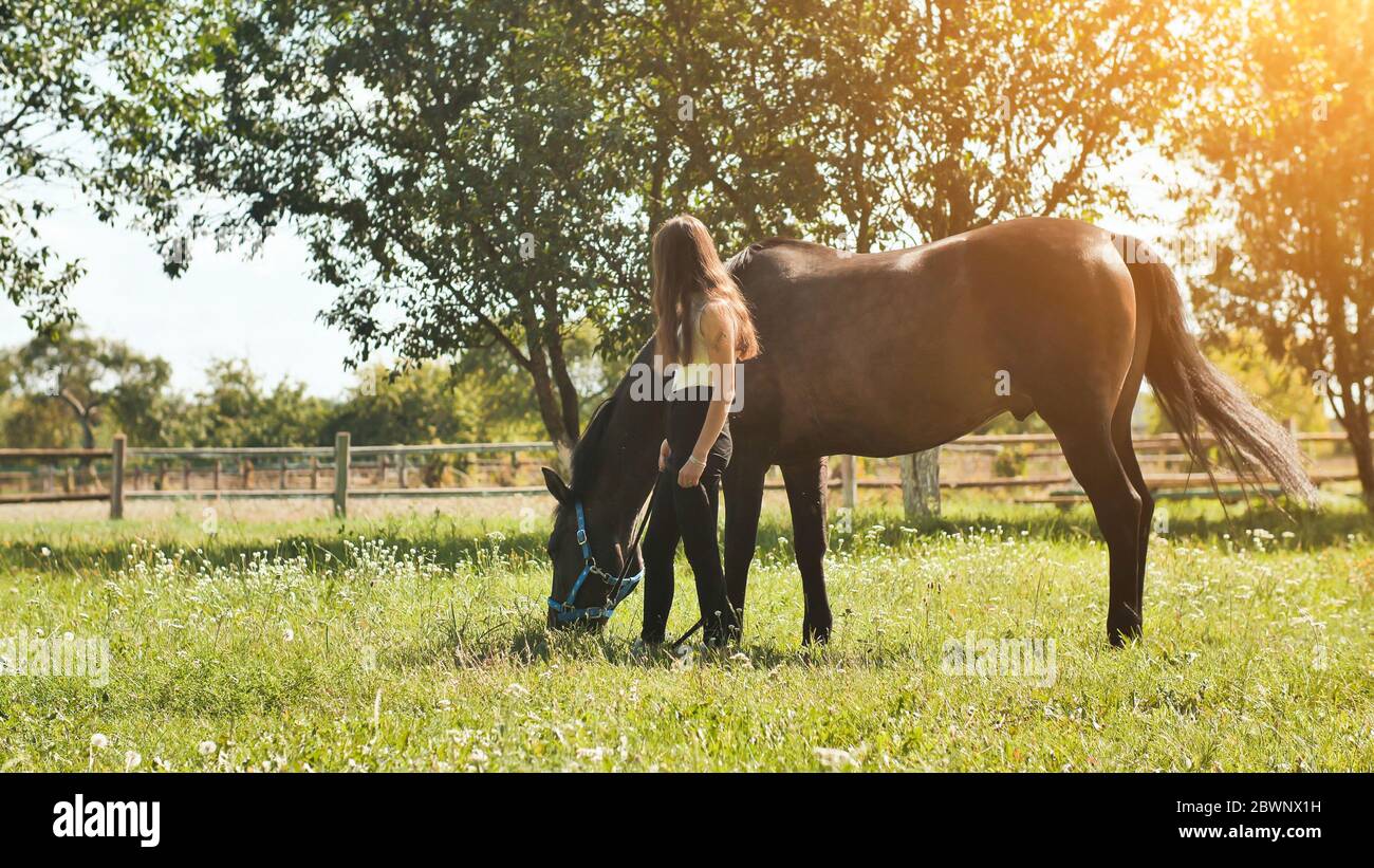 Junges Mädchen mit einem geliebten Pferd an einem Sommertag. Stockfoto