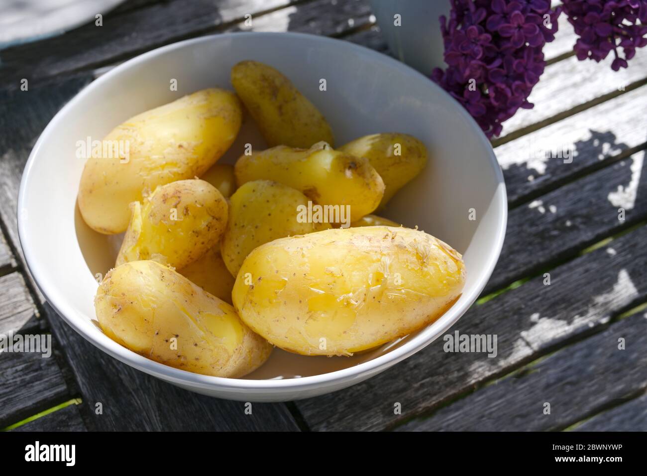 Bio-Kartoffeln mit Schale gekocht und in einer Schüssel auf einem hölzernen  Gartentisch serviert, ausgewählten Fokus Stockfotografie - Alamy