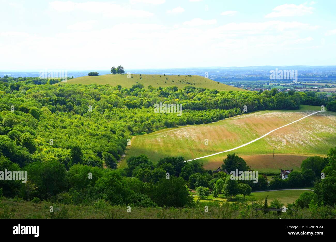 Blick über Coombe Hill zum Beacon Hill in den Chilterns Stockfoto