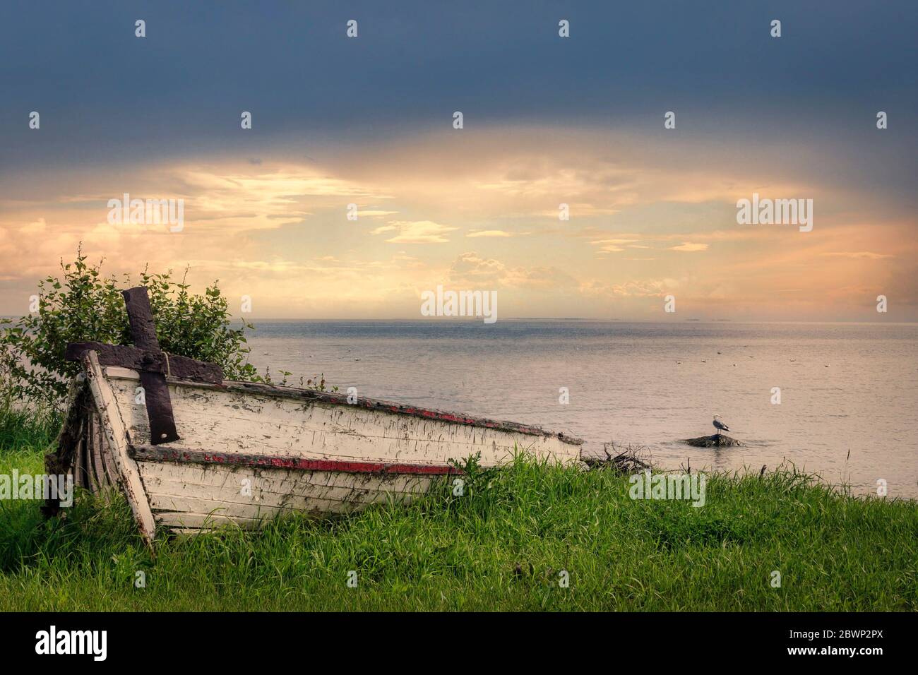 Horizontales Bild eines alten weißen Wildschweins mit abblätternder Farbe, das auf dem grünen Gras neben einem ruhigen, friedlichen blauen See unter einer wunderschönen untergehenden Sonne sitzt Stockfoto