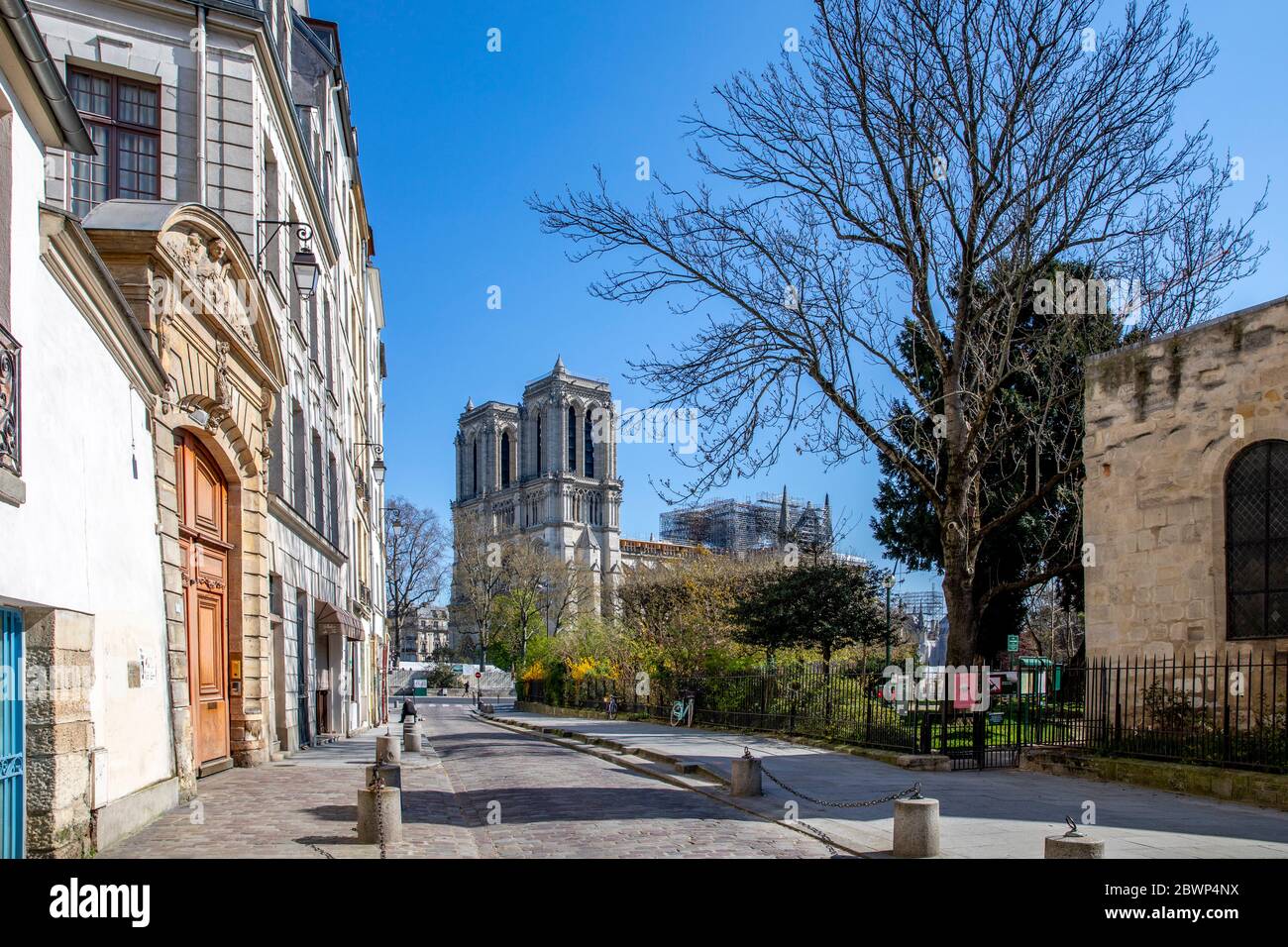 Paris, Frankreich - 1. April 2020: 16. Tag der Eindämmung wegen der Covid-19-Pandemie in der Saint Julien Le Pauvre Straße in der Nähe der Kathedrale Notre Dame im Hintergrund Stockfoto